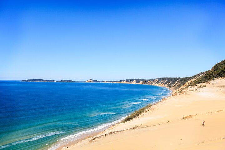 Kayak with Dolphins and 4WD Great Beach Drive Day Trip from Noosa - Accommodation Bookings
